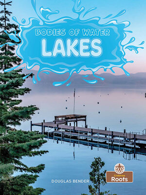 cover image of Lakes